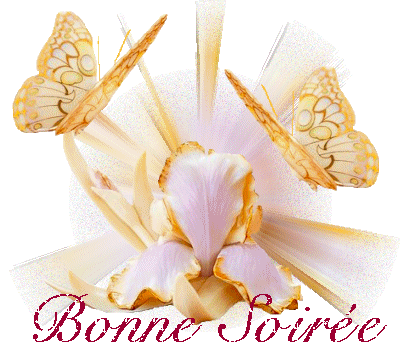 Le soir venu, je te dis 